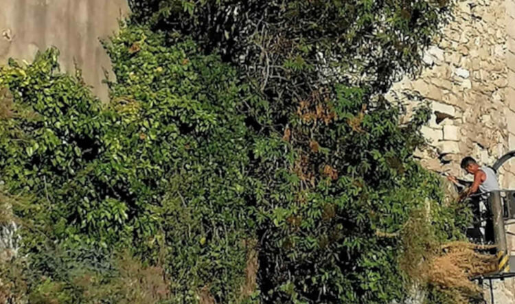 Scerbatura e messa in sicurezza costoni a Ragusa