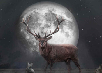 Superluna del cervo di luglio, stasera occhi al cielo