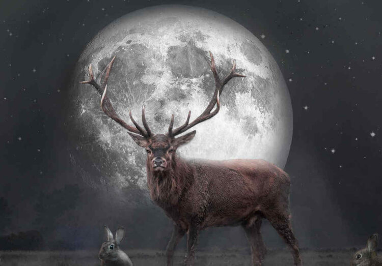 Superluna del cervo di luglio, stasera occhi al cielo