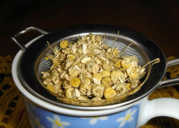 Tisana fredda con camomilla e lavanda contro l'insonnia: ecco come si prepara