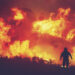 incendio sterpaglie