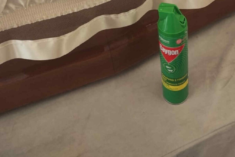 Formiche su salma in ospedale a Palermo: intervengono i Nas