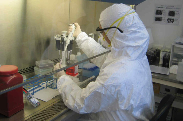 Influenza del pomodoro, nuovo virus in India: cos'è e sintomi