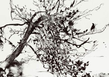 mostra sulla pratica della litografia