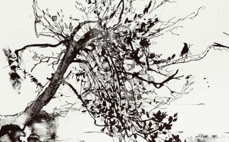 mostra sulla pratica della litografia