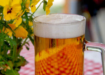 Beauty: come usare la birra per i capelli