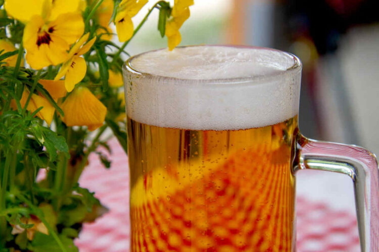 Beauty: come usare la birra per i capelli