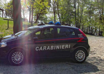 Macabra scoperta a Venticano: ossa umane di 2 persone in un bidone