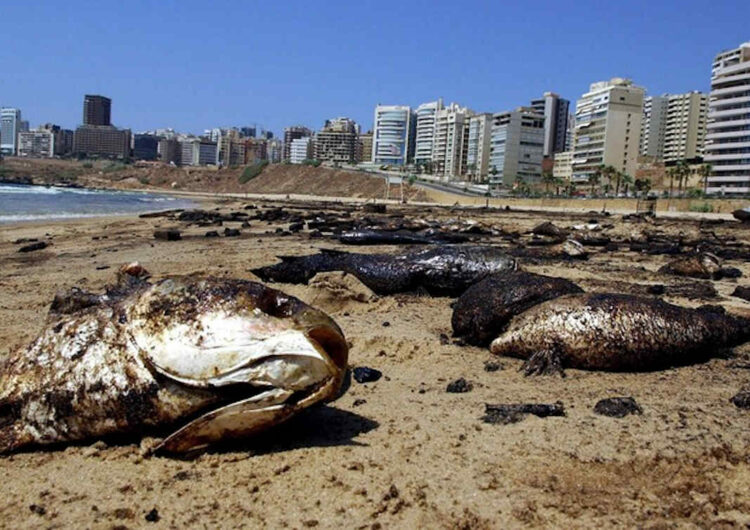 Il Tirreno come ai tropici, l'acqua tocca i 30 gradi