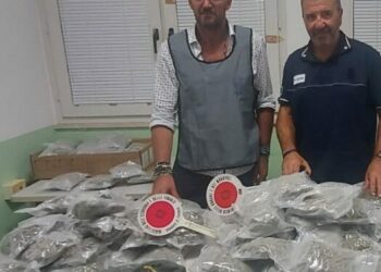 Porto di Pozzallo, sequestrati 17 chili di marijuana