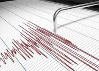 Una scossa di terremoto di magnitudo 2.9 è avvenuto nella zona del Mar Ionio Meridionale. La scossa è stata registrata dall’Istituto nazionale di Geofisica e Vulcanologia ieri alle ore 23,48. Il terremoto ha avuto una profondità di 38 chilometri.