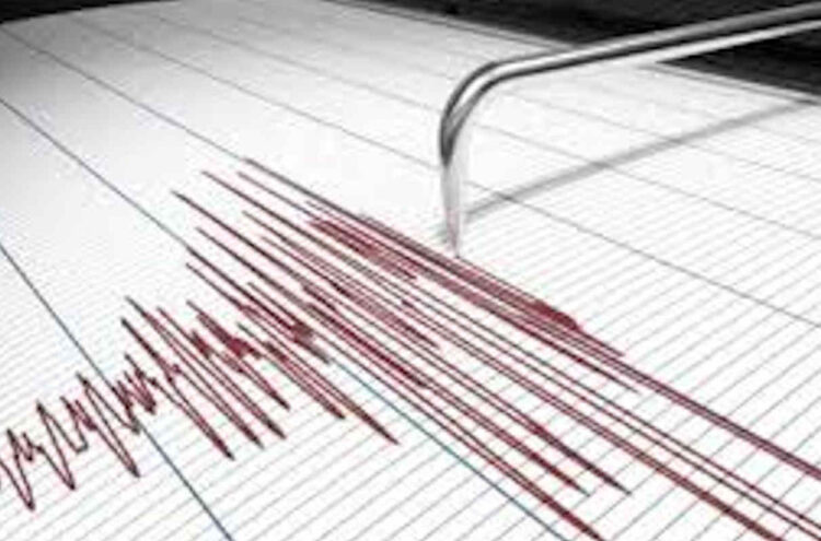 Una scossa di terremoto di magnitudo 2.9 è avvenuto nella zona del Mar Ionio Meridionale. La scossa è stata registrata dall’Istituto nazionale di Geofisica e Vulcanologia ieri alle ore 23,48. Il terremoto ha avuto una profondità di 38 chilometri.