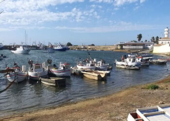 truck food festival, Scoglitti