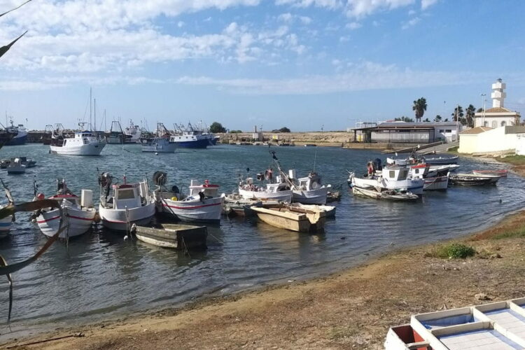 truck food festival, Scoglitti