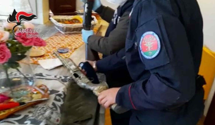 Marsala, uccidono una cicogna bianca: incastrati da telecamera