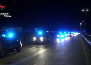 Maxi operazione antidroga tra Basilicata e Puglia, 22 misure cautelari