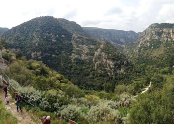 Parco degli Iblei, Orazio Ragusa torna a chiedere proroga
