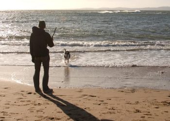 Porto Empedocle: animalisti denunciano 35enne azzannato dal suo cane