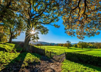 Tenta di uccidere il vicino per lite su confini fondo agricolo
