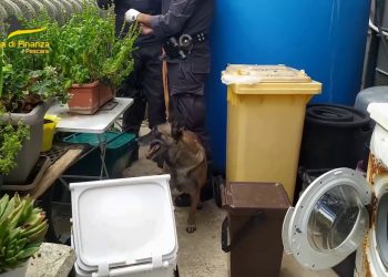 Sequestrata droga destinata ai più giovani di Pescara e Teramo