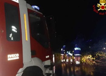 Bufera di vento a Ragusa: alberi caduti e pali divelti
