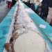 A Caltanissetta il cannolo più lungo del mondo: 21mt e 43 cm