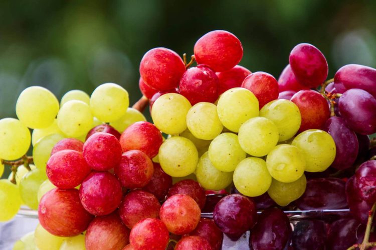 Dieta dell'uva per dimagrire in bellezza: menù