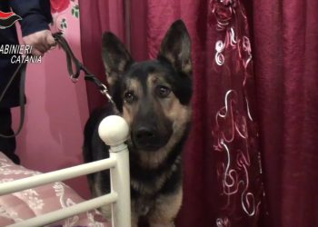 Colpo alla famiglia mafiosa Santapaola-Ercolano, 30 arresti