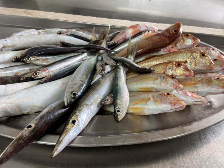 Il pescato ibleo a Torino per Terra Madre Salone del Gusto