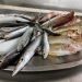 Il pescato ibleo a Torino per Terra Madre Salone del Gusto