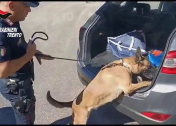Trento, 38 misure cautelari per traffico di droga