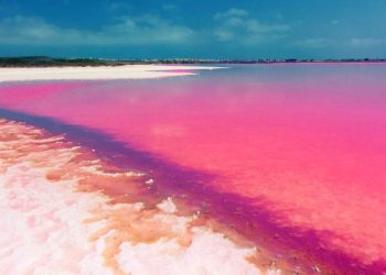 Il lago rosa: la Spa naturale più bella d'Europa