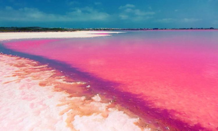 Il lago rosa: la Spa naturale più bella d'Europa