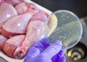 Il Ministero della Salute spiega come proteggersi dalla listeriosi dovuta al batterio listeria. Dai cibi all'igiene di mani