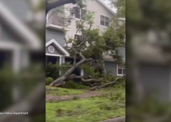 Uragano in Florida, un semaforo vola via spinto dal vento