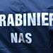 Nas Ragusa, da giugno ad oggi: irregolarità in 67 strutture: sanzioni per 132 mila euro