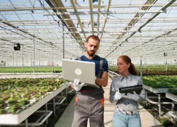 Ue, a maggio commercio agroalimentare +32%