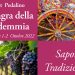 A Pedalino torna la Sagra della Vendemmia