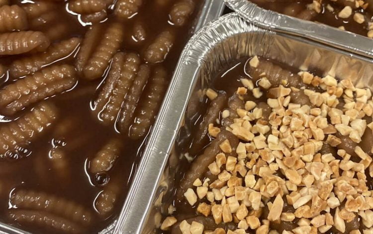 Sagra della vendemmia a Pedalino, cuddureddi e mustata: da stasera e per il fine settimana