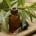 Tea Tree oil: il super guaritore della natura