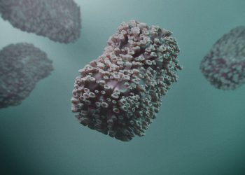 Vaiolo delle scimmie in Sicilia: 15enne trasferito a Palermo