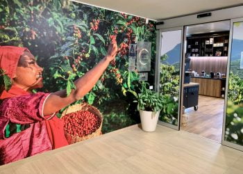 Coltivazione di caffè più green, Nestlè lancia il Nescafè Plan 2030