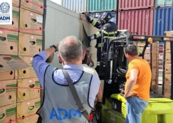 Al porto di Catania sequestrati 110 kg di cocaina per 12 milioni