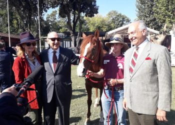 Salute mentale, il viaggio del cavallo Persano fa tappa a Roma