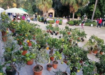 All’Orto Botanico di Palermo 12 mila visitatori per “Zagara d’Autunno”