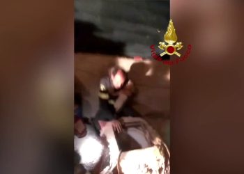 Tratti in salvo due cani scivolati in un pozzo a Lampedusa