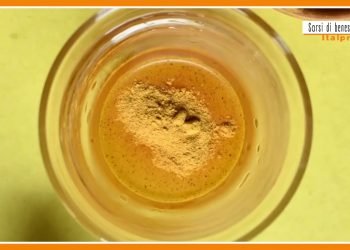 Sorsi di benessere – Una crema di lenticchie alleata dei capelli