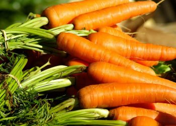 5 rimedi per la tosse secca