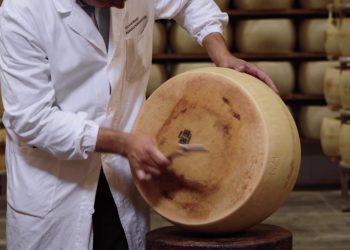 Parmigiano Reggiano, vendite in crescita nei primi 9 mesi del 2022