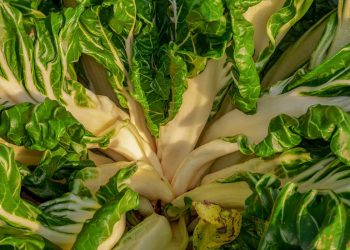 9 straordinari benefici nascosti nella bietola